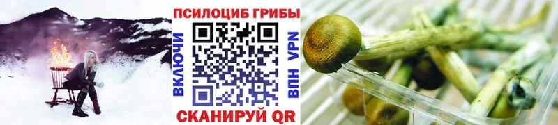 Галлюциногенные грибы Magic Shrooms  blacksprut рабочий сайт  Усть-Джегута 