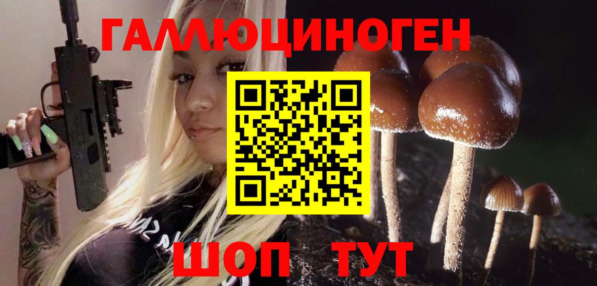 Псилоцибиновые грибы Psilocybe  Вход с VPN  Усть-Джегута  Галлюциногенные грибы Psilocybe 